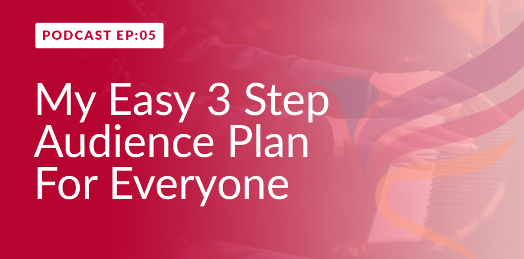 3 Step Audience Plan